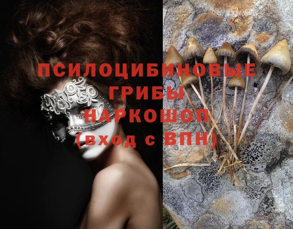 крисы Алексин