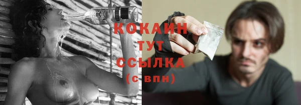 гидра Абаза