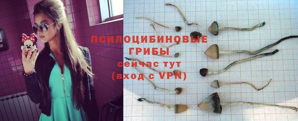гидра Абаза