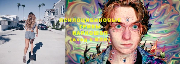 гидра Абаза
