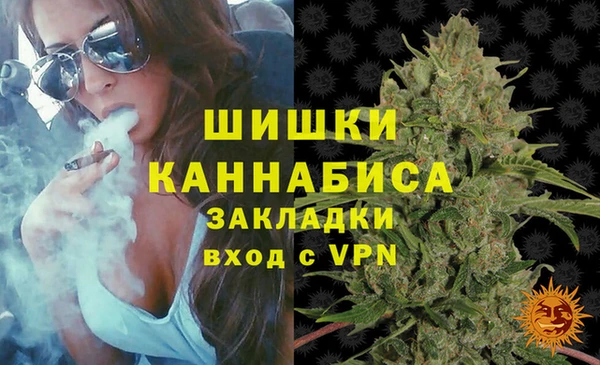 гидра Абаза