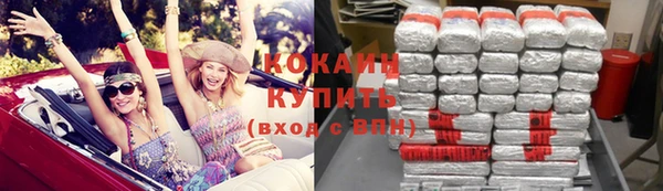 гидра Абаза