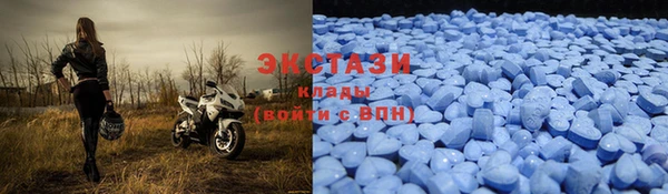 гидра Абаза