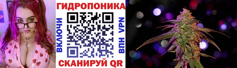 закладки  Дмитровск  Марихуана OG Kush 